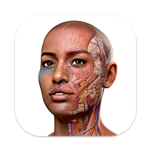 Complete Anatomy v11.5.0