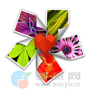 ArcSoft Photo+ 3.0.90138