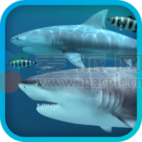 Sharks 3D v2.1.1