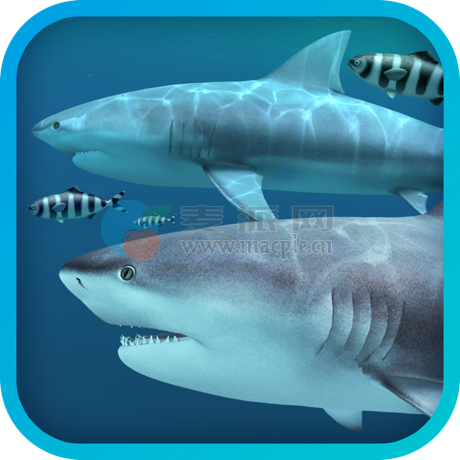 Sharks 3D v2.1.1