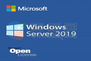 Windows Server 2019_19d65722[X64](Updated Nov 2022)