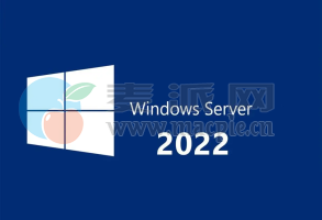 Windows Server 2022_78530c38[X64](Updated Nov 2022)