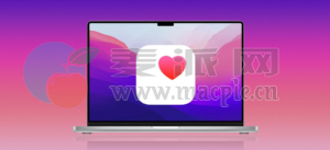苹果和 Epic Systems 合作推出适用于 macOS 的健康记录软件