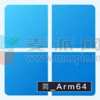 Windows 11 Insider Preview 26100.1_ZH_CN_FIX (ge_release)[Arm64]