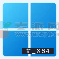 Windows 11 Insider Preview 26100.1_ZH_CN_FIX (ge_release)[X64]