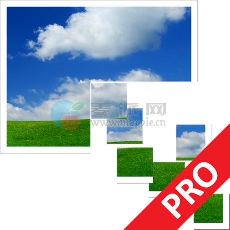 NCH Pixillion Plus v13.07