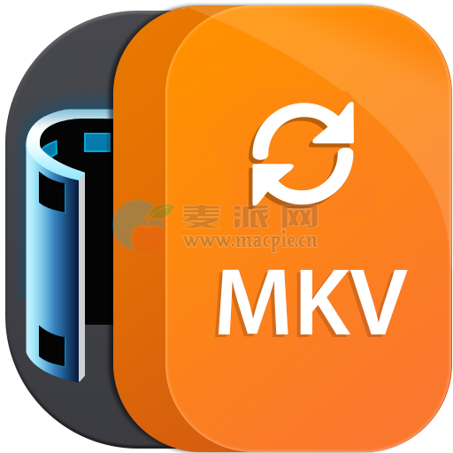 Aiseesoft MKV Converter v9.2.22.97409