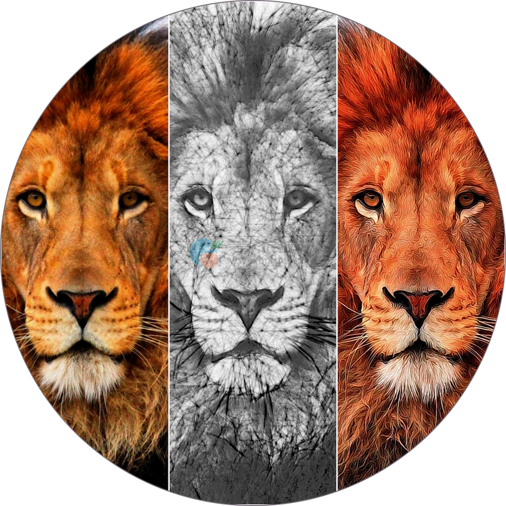 Sketch N Cartoonize v3.4