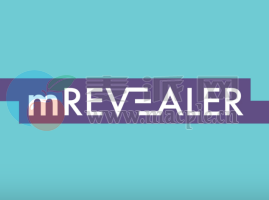 motionVFX mREVEALER