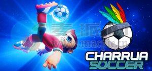 查鲁亚足球(Charrua Soccer) v8.48