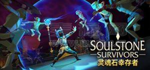 灵魂石幸存者(Soulstone Survivors) vSteam vEA9g