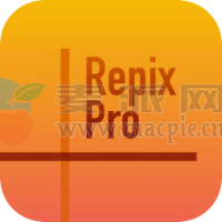 Repix Pro v2.3