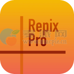 Repix Pro v2.3