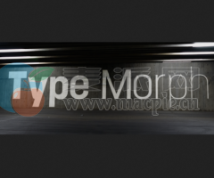Type Morph v2.4