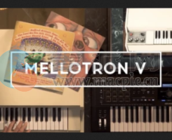 Arturia Mellotron V v1.9.1(4395)