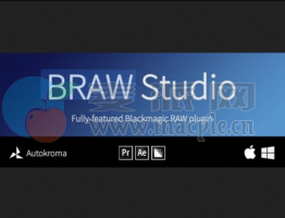 BRAW Studio V3 v3.0.4