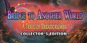 通往另一个世界的桥梁11: 面包屑的踪迹典藏版(Bridge to Another World 11: A Trail of Breadcrumbs Collector’s Edition) v1.0