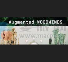 Arturia Augmented WOODWINDS v1.1.1(5024)