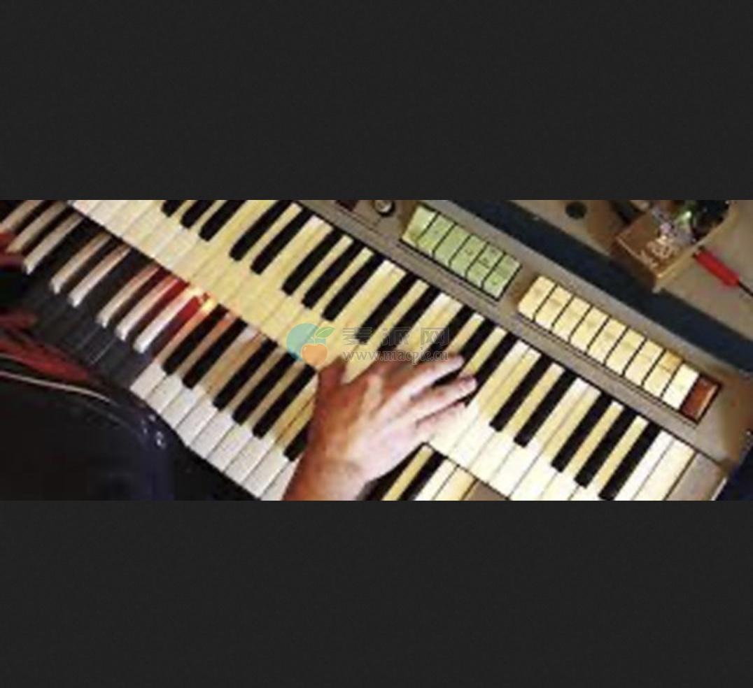 Arturia Farfisa V v1.13.2(5305)