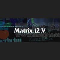 Arturia Matrix-12 V v2.13.1(5048)