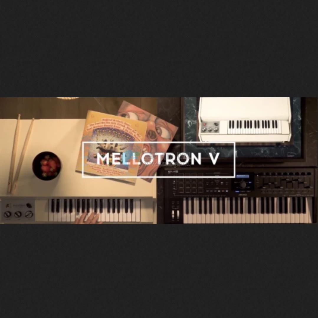 Arturia Mellotron V v1.9.4(6126)