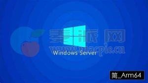 Windows Server 2025 Insider Preview 26085.1_ZH_CN_FIX (ge_release)[Arm64]