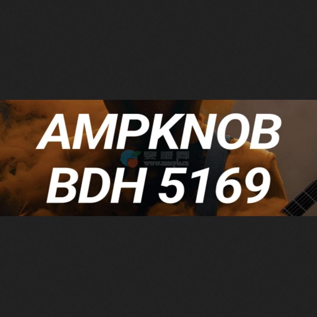 Bogren Digital Ampknob BDH 5169 v1.2.134