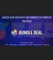 Polyverse Music Bundle Deal v2024.11