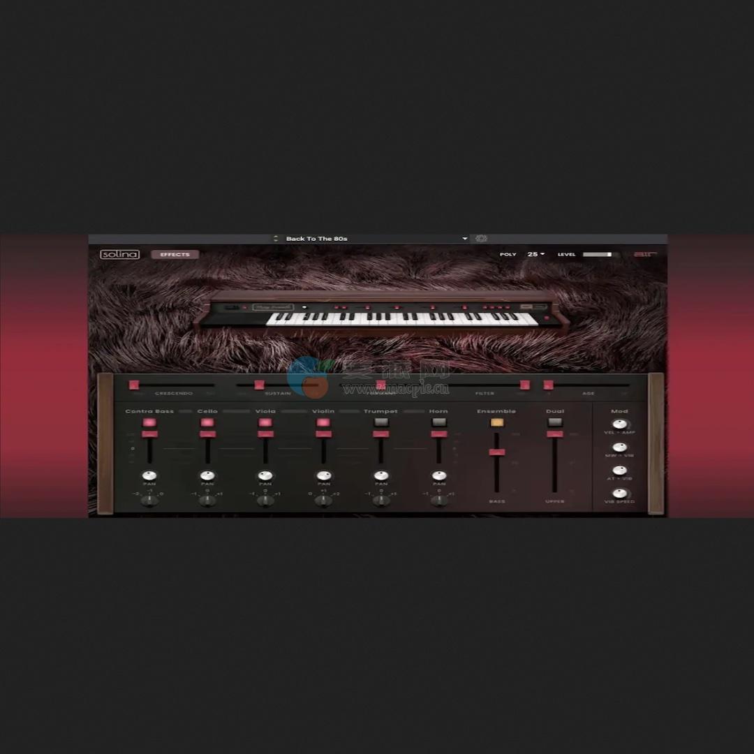 AIR Music Technology Solina v1.2.1.14