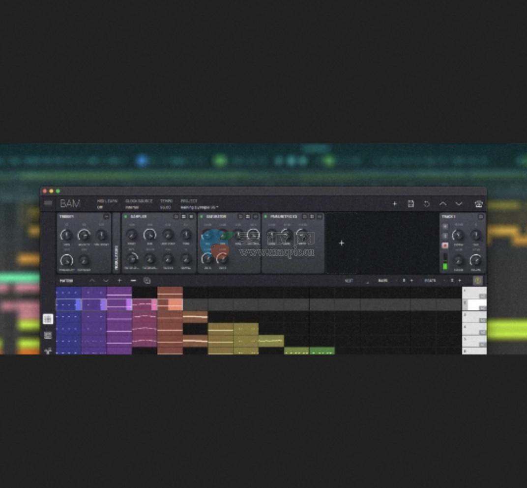 Imaginando BAM v1.5.1