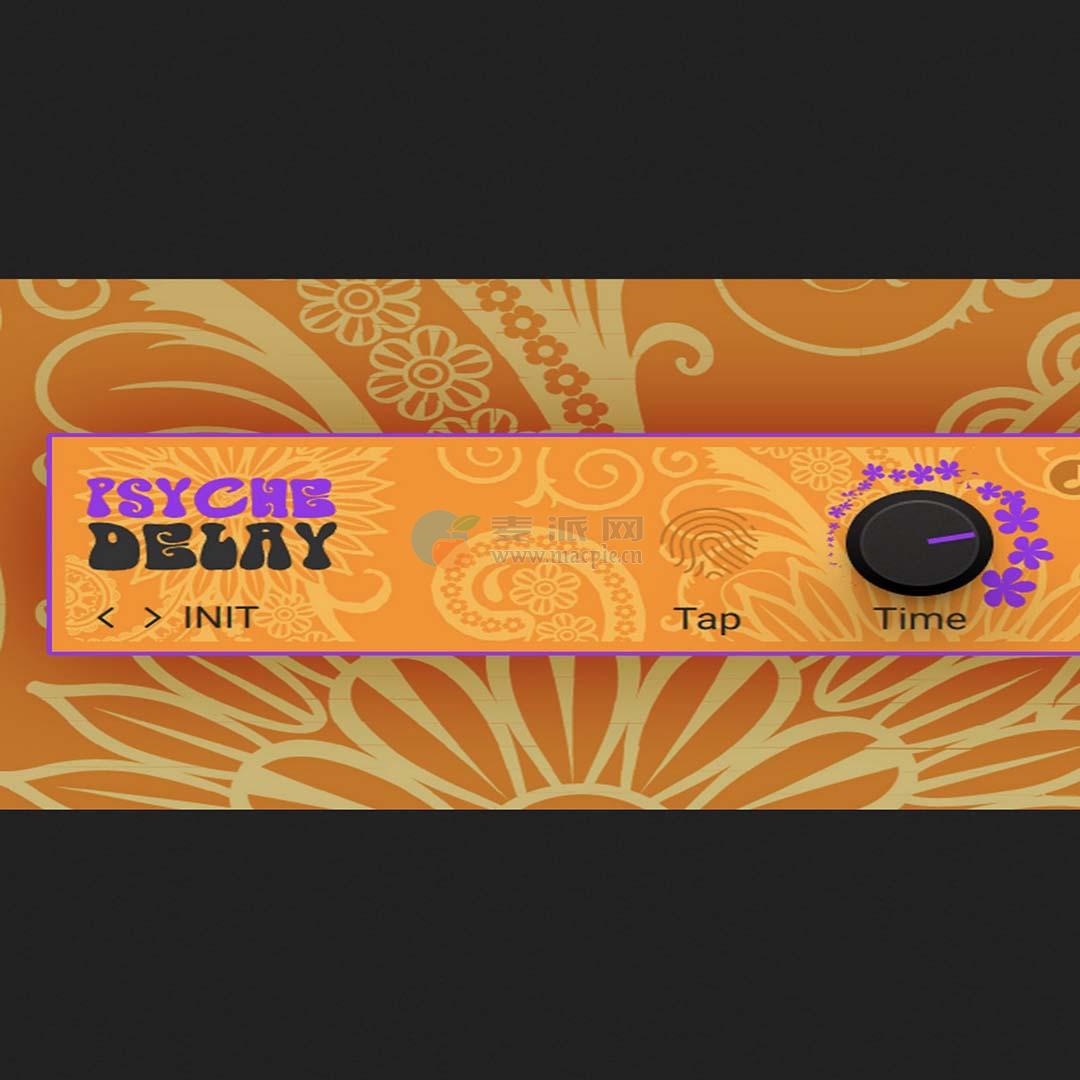 Native Instruments Psyche Delay v1.3.3