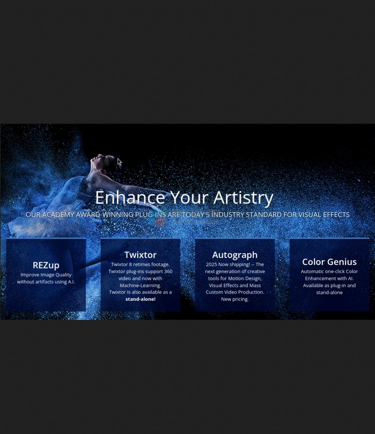 RE:VisionFX Effections OFX v2025.1