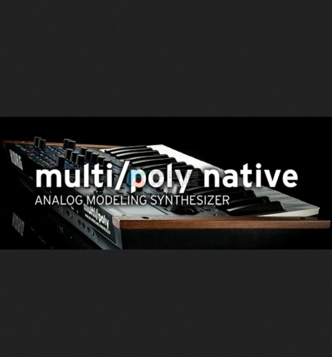 KORG Software Multipoli Native v1.0.3