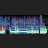 Excite Audio VISION 4X v1.2.2 Fix