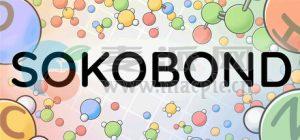 原子大合体(Sokobond) v2.0.2