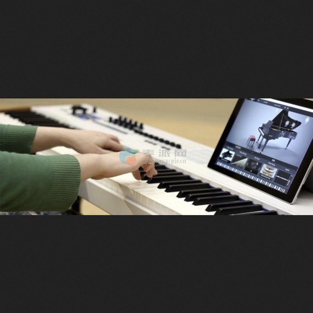 Arturia Piano V3 v3.3.3(6106)