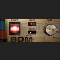 Bognen Digital Ampknob BDM 410 JVH v1.0.119