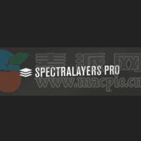 Steinberg SpectraLayers Pro v12.0.40