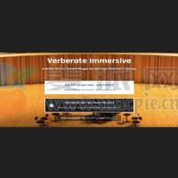 Acon Digital Verberate Immersive 2 v2.2.10