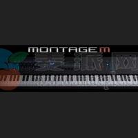 Yamaha Expanded Softsynth Plugin for MONTAGE M v3.0.0