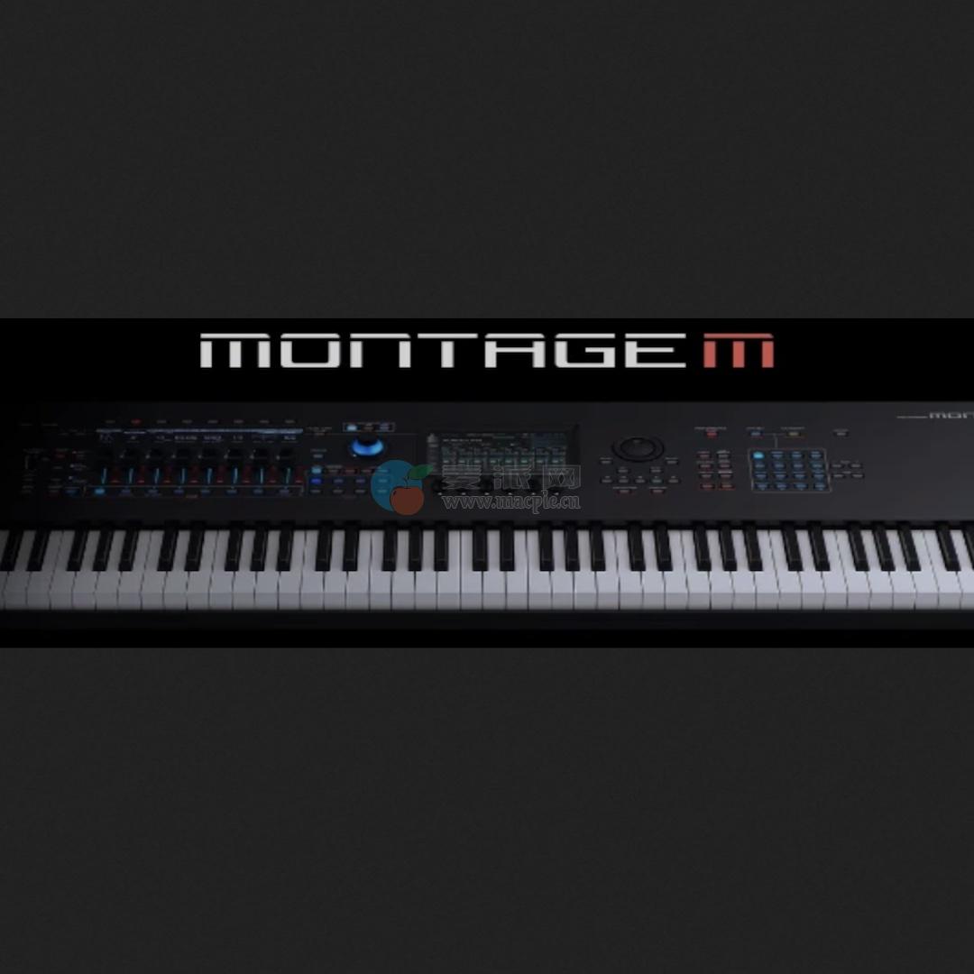 Yamaha Expanded Softsynth Plugin for MONTAGE M v3.0.0
