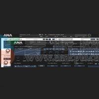 Sonic Academy ANA 2 v2.5.6