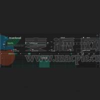 Sonible true:level v1.0.4