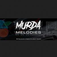 Slate Digital Murda Melodies v1.1.1