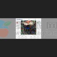 Nudist Audio Nudistort v1.2.4