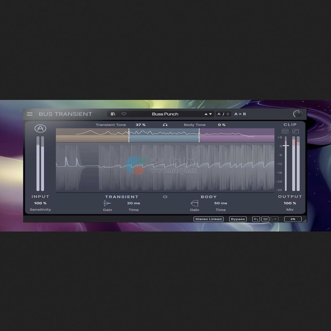Arturia Bus TRANSIENT v1.0.0