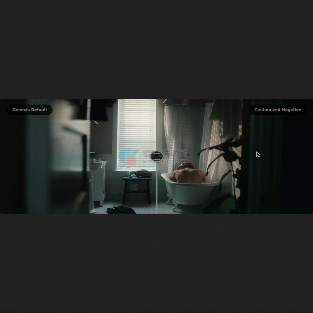 Procolorist Genesis for DaVinci Reslove v1.3.3