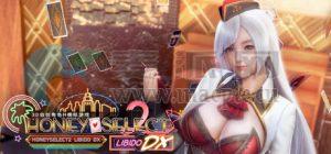 选择甜心 2: 欲望DX(Honey Select 2: Libido DX) v1.2.3[Wineskin]