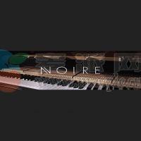 Native Instruments Noire KONTAKT v1.2.1