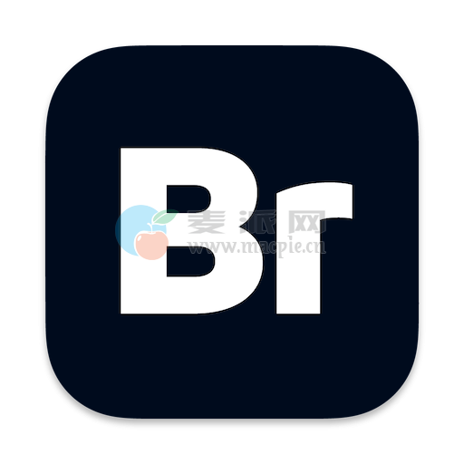 Adobe Bridge 2026 v16.0.2[AAT/MG]